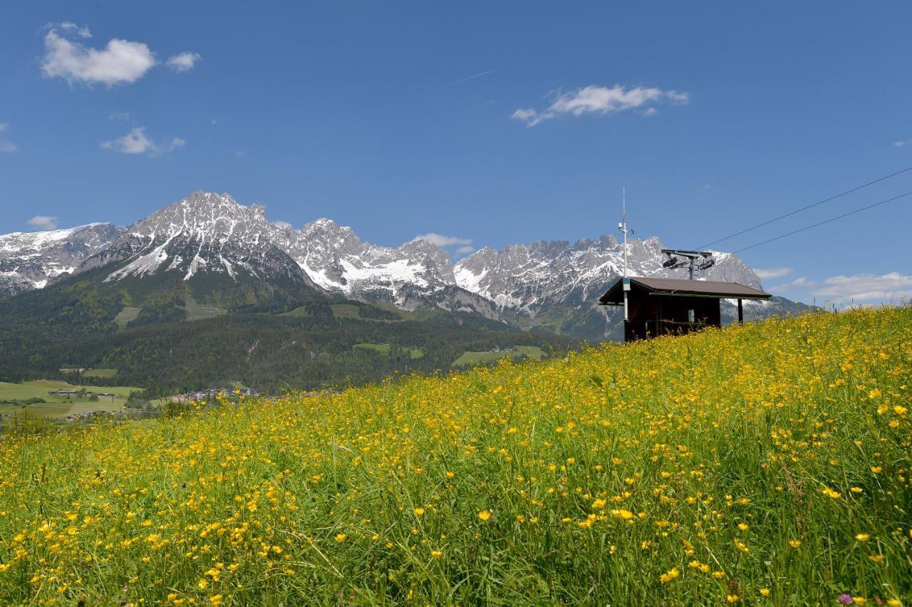 Chalet Grizzly Ellmau Kültér fotó